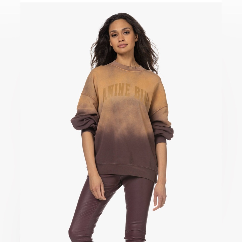 Anine Bing Harvey Crewneck in Purple Ombré